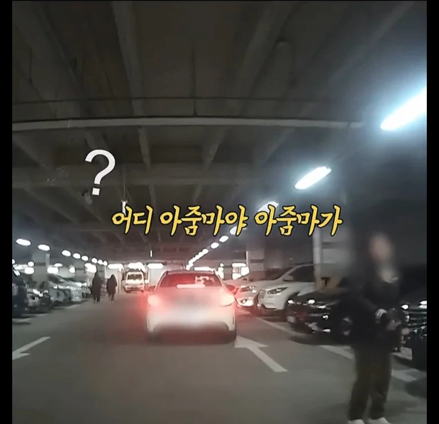 주차장에 나온 역대급 카트빌런_14.webp