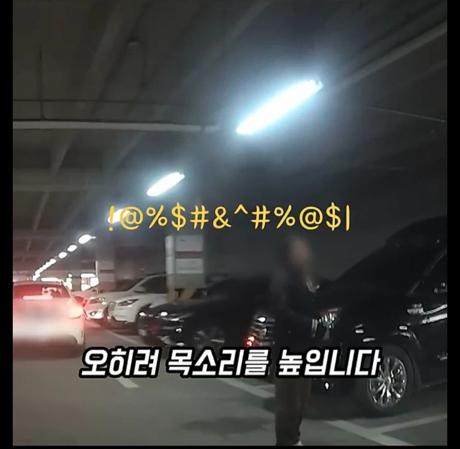 주차장에 나온 역대급 카트빌런_15.webp