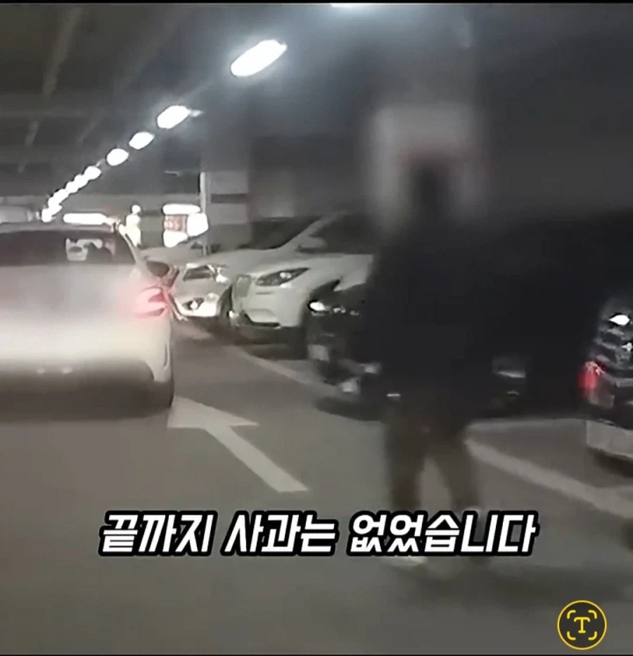 주차장에 나온 역대급 카트빌런_16.webp