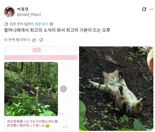 산에서 꽃사진 찍는데 같이 찍힌 것.jpg_1.webp