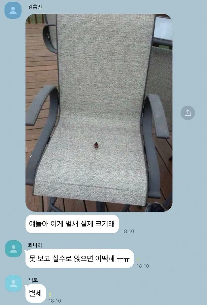 벌새를 못보고 깔고 앉으면 일어나는 일_1.webp