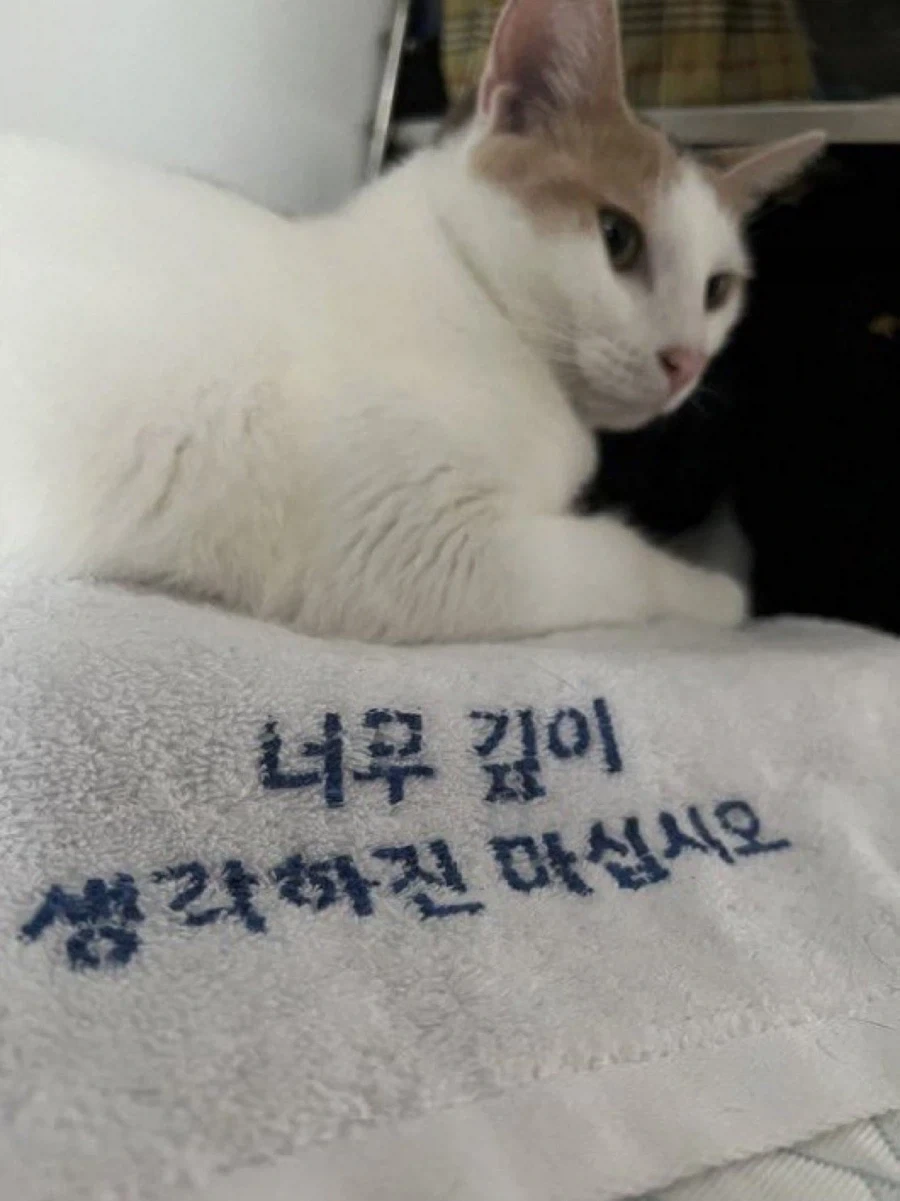너무 깊은 생각하진 마십시오_1.webp