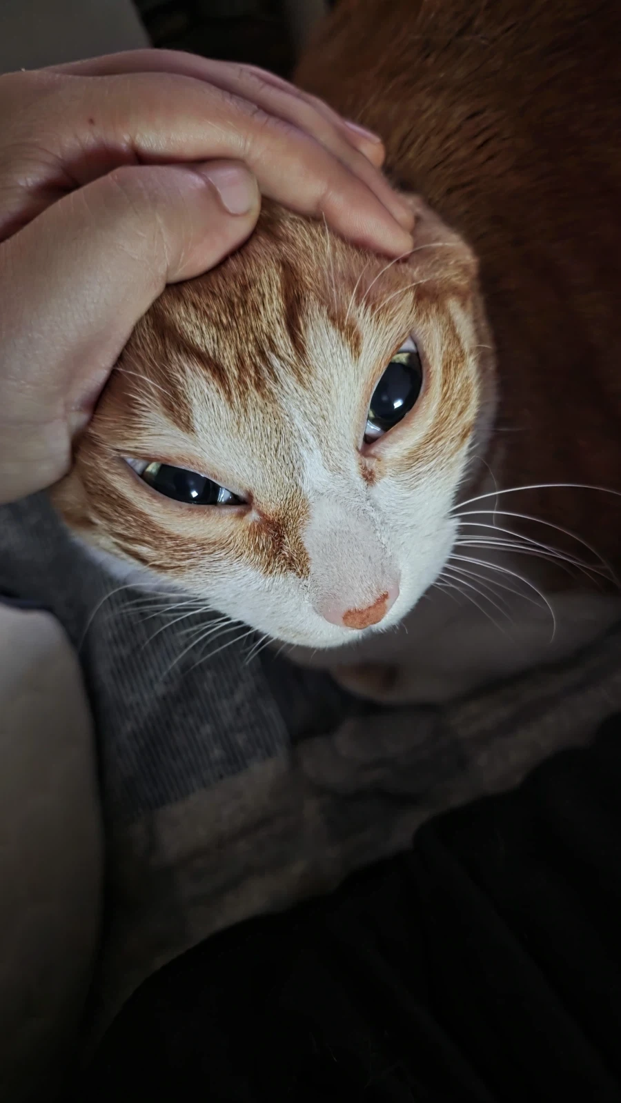 얜 왜 이시간에 난리야.._1.webp