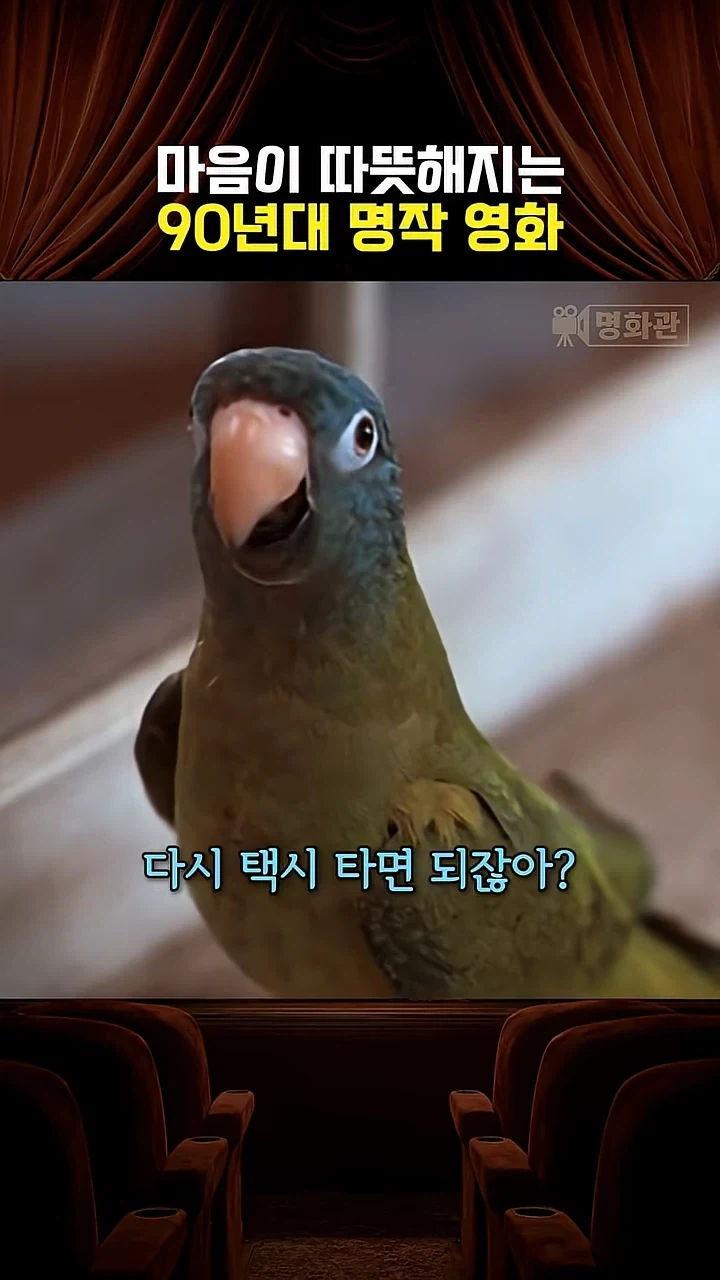 앵무새가 터무니 없는 부탁을 한다_4.webp