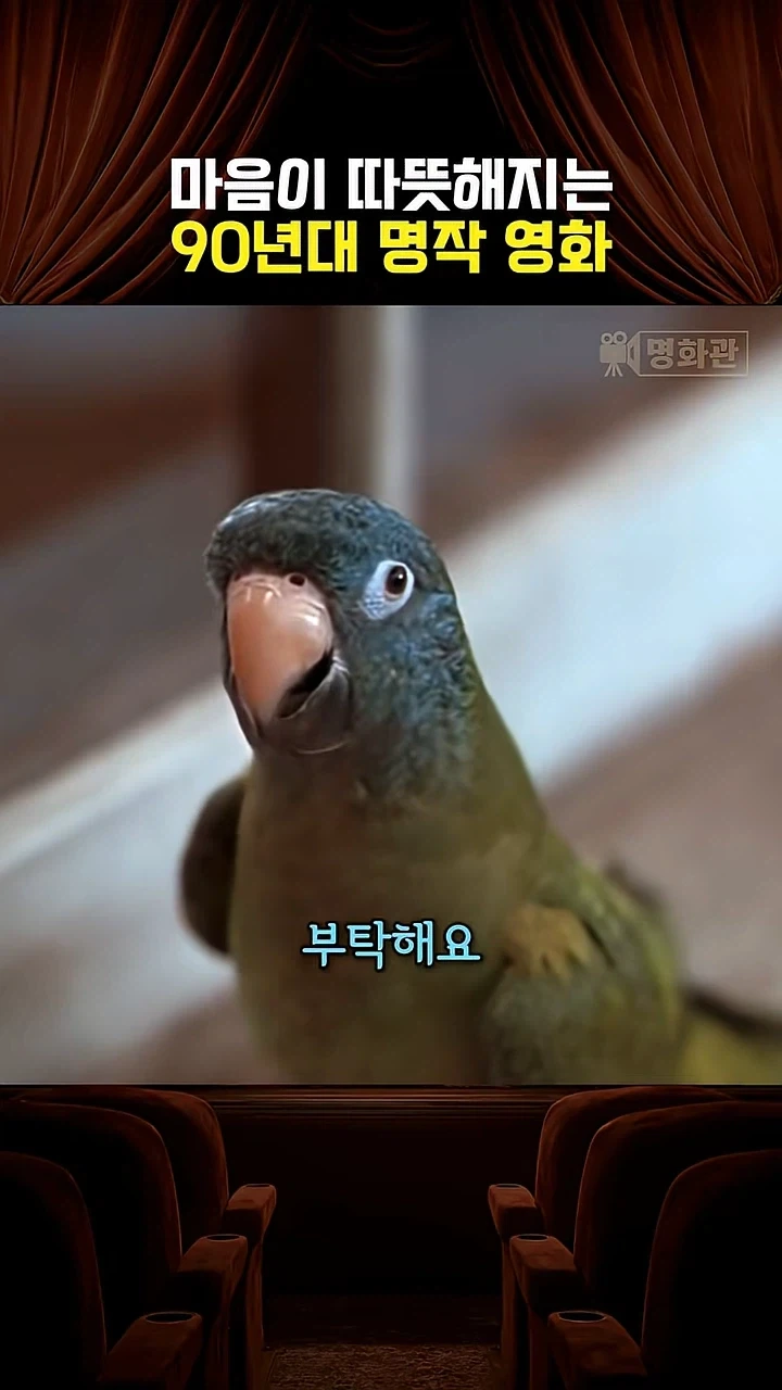 앵무새가 터무니 없는 부탁을 한다_7.webp