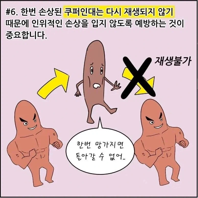 가슴으로 과격한 플레이하면 안되는 이유_4.webp