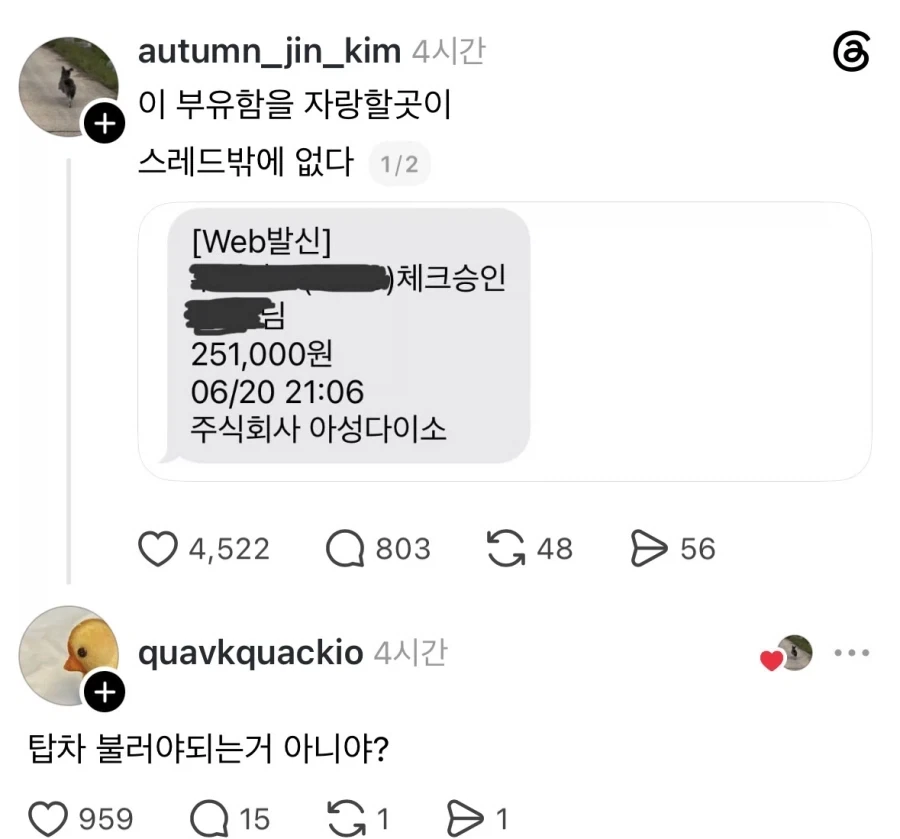 엄청난 부를 자랑하는 스레드 유저.jpg_1.webp