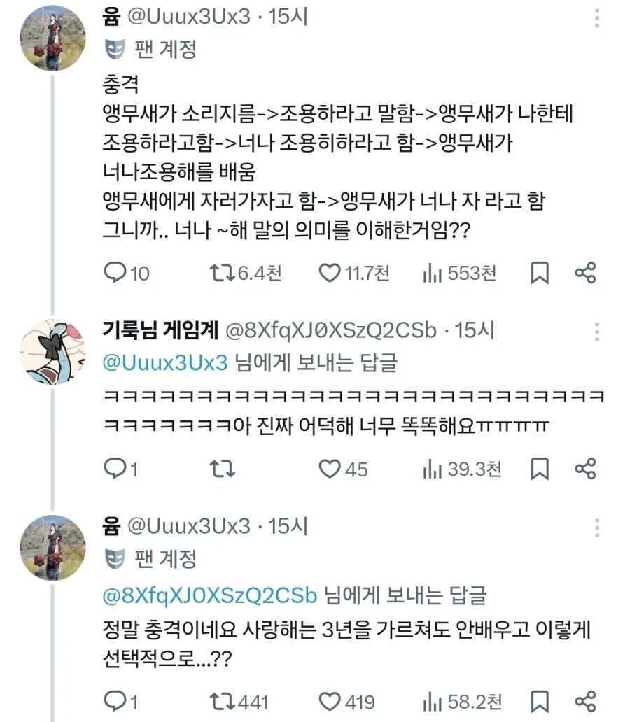 앵무새 지능 수준.jpg_1.webp