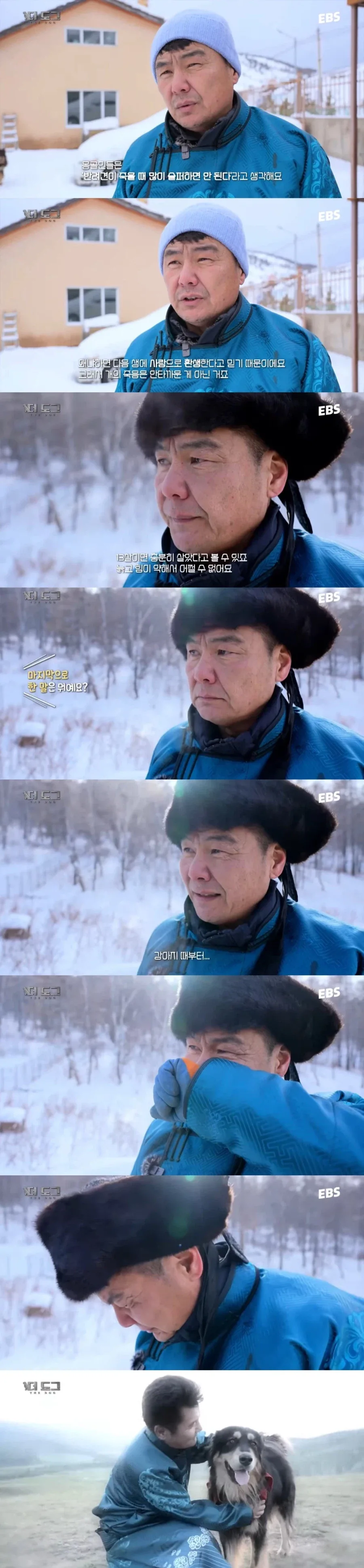 반려견 죽어도 안슬프다는 남자_1.webp