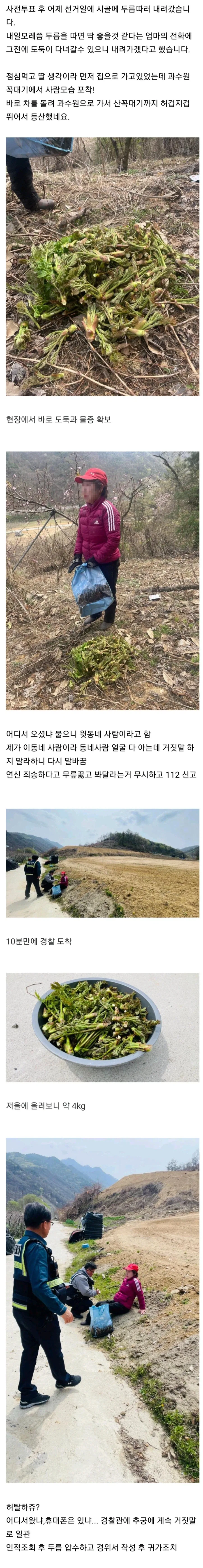10년 넘게 못 잡던 두릅 도둑이 마침내 잡힌.jpg_1.webp