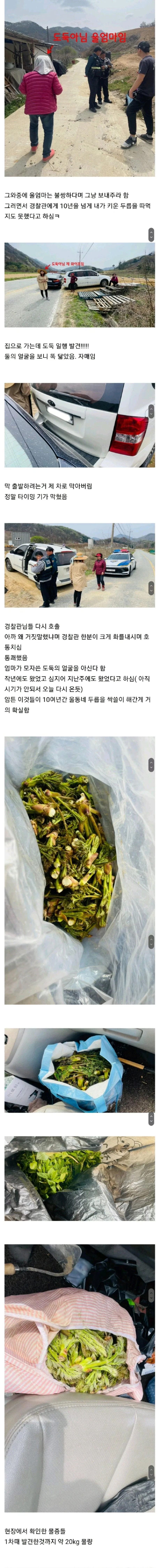 10년 넘게 못 잡던 두릅 도둑이 마침내 잡힌.jpg_2.webp