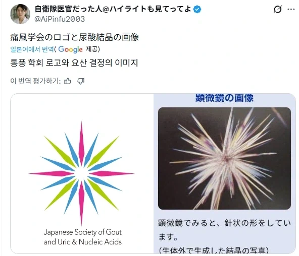 일본의 통풍학회 로고_1.webp