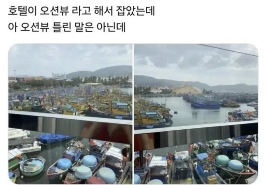 오션뷰라고 해서 호텔 예약했더니_1.webp