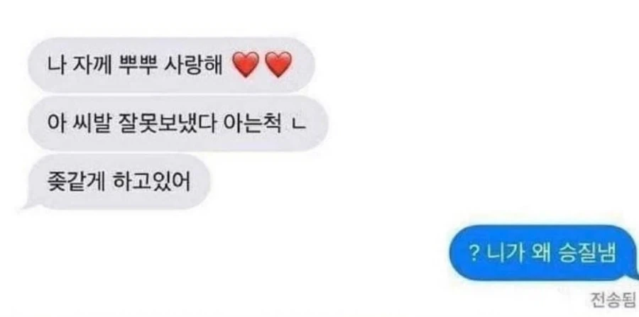 남동생한테 카톡 잘못 보낸 누나들.jpg_1.webp