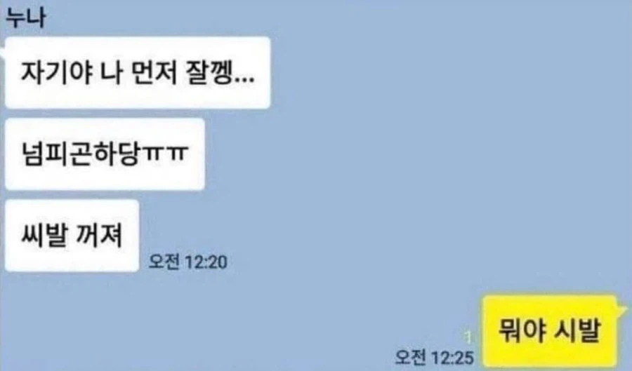 남동생한테 카톡 잘못 보낸 누나들.jpg_3.webp
