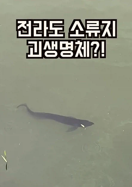 전라도에서 발견된 물고기.jpg_1.webp