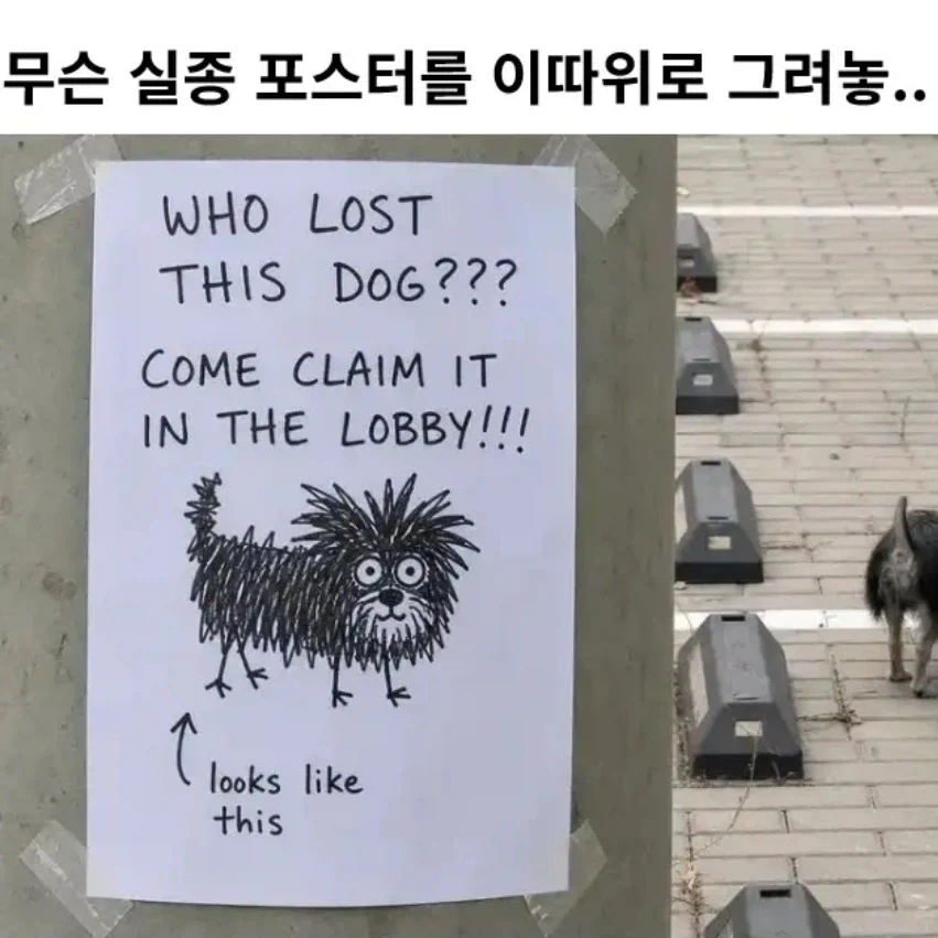 무슨 실종 포스터를 이따구로 그려놓...._1.webp