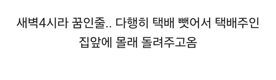 집앞에서 운동하다가 택배 훔치는 고양이봤어_4.webp
