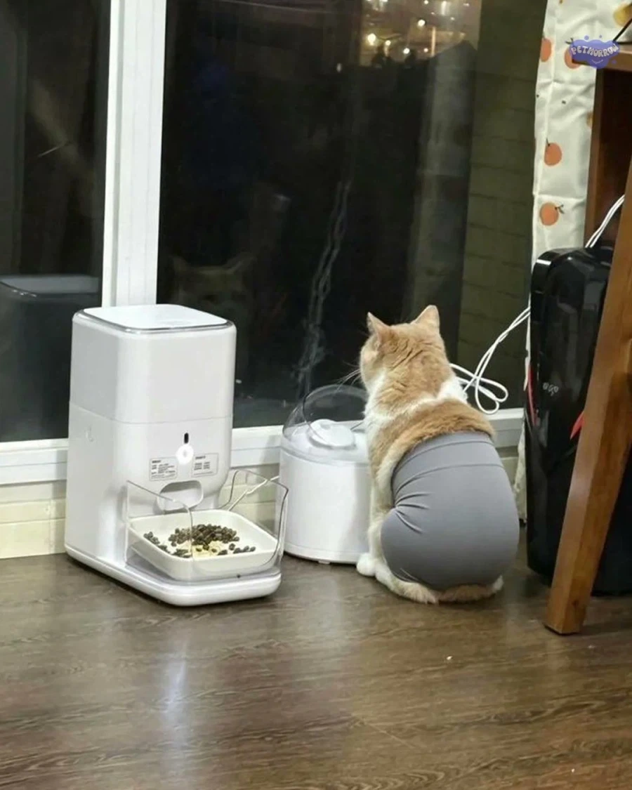 고영희씨에게 레깅스를 입혀보았다._1.webp