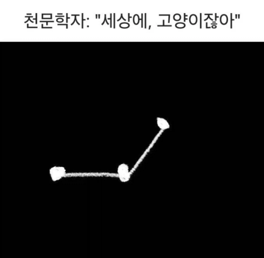 천문학자의 상상력.jpg_1.webp