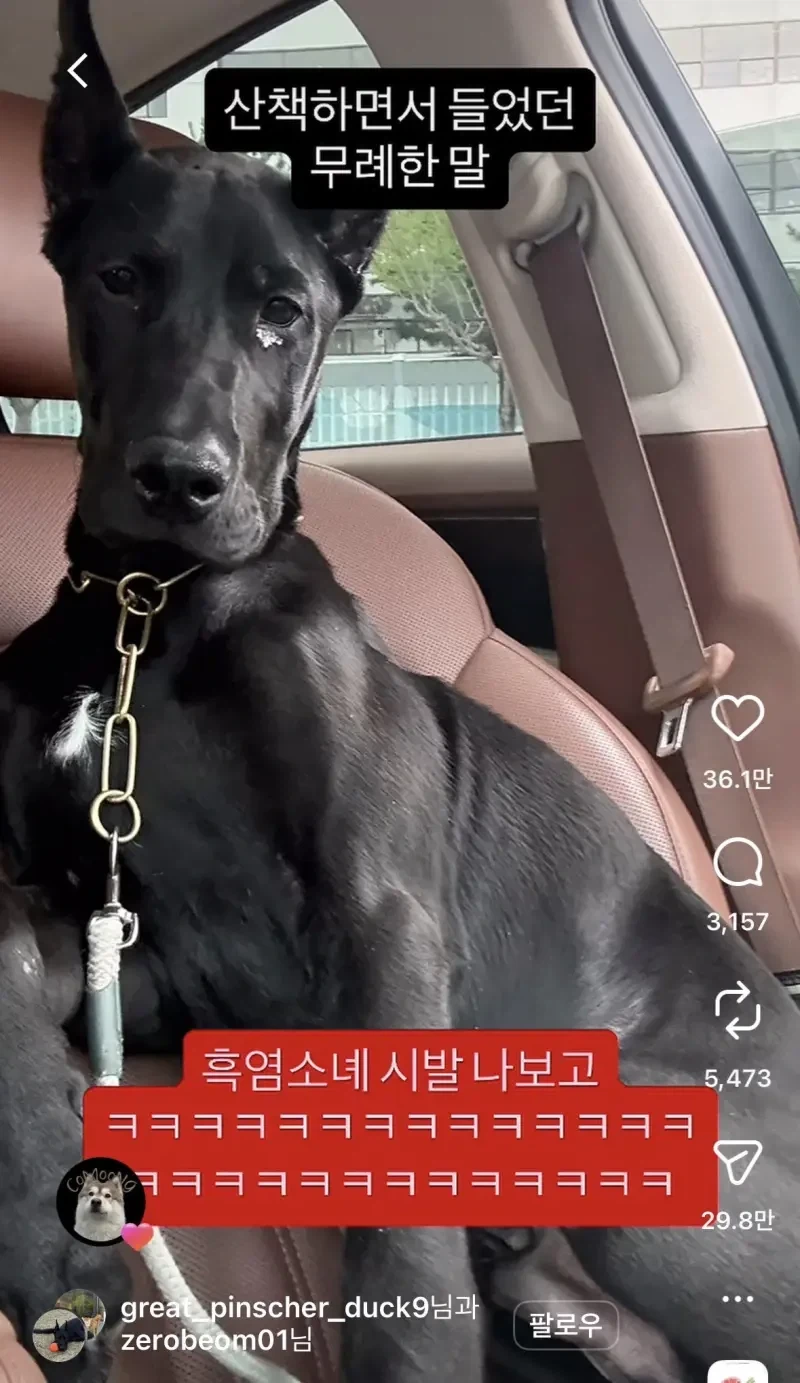 산책하면서 들었던 가장 무례한 말_1.webp