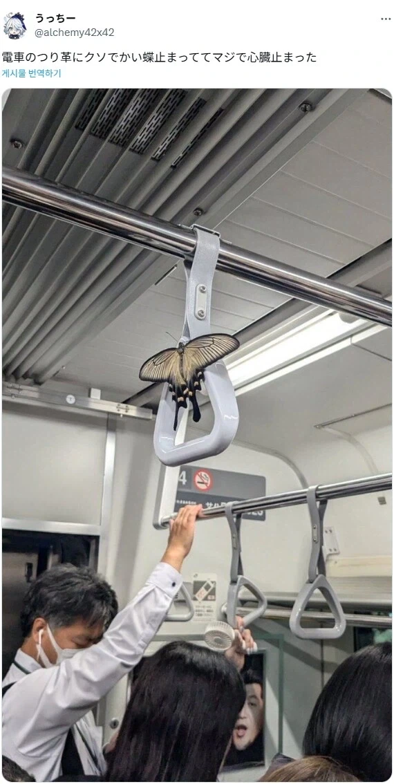 일본은 전철 손잡이에 장식도 다네.jpg_1.webp