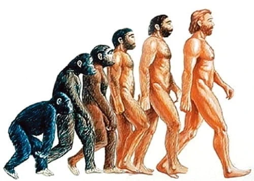 너희들의 똥구멍을 찢어버리고 싶구나..._1.webp