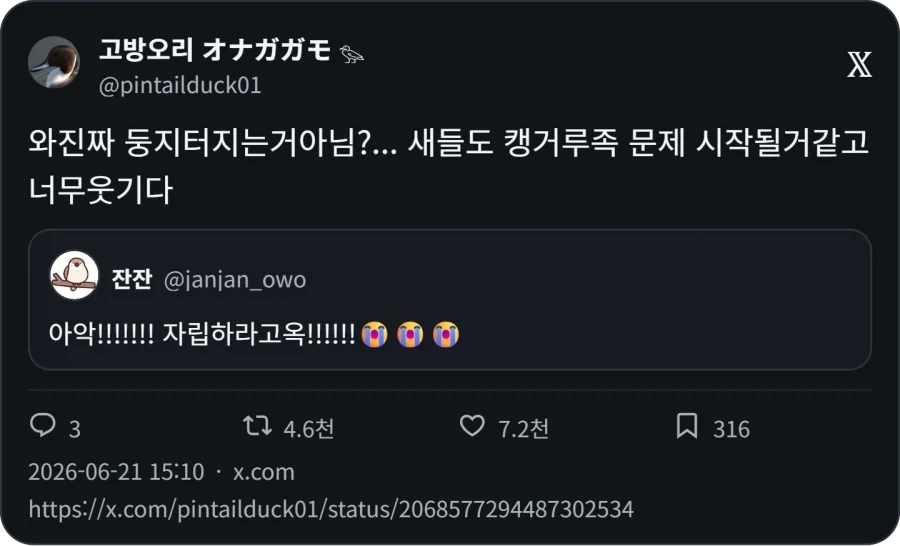 아악!!!!!!! 자립하라고옥!!!!!!_2.webp