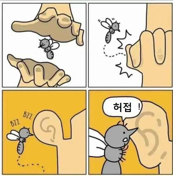 모기가 귀 근처에서 하는 소리_1.webp