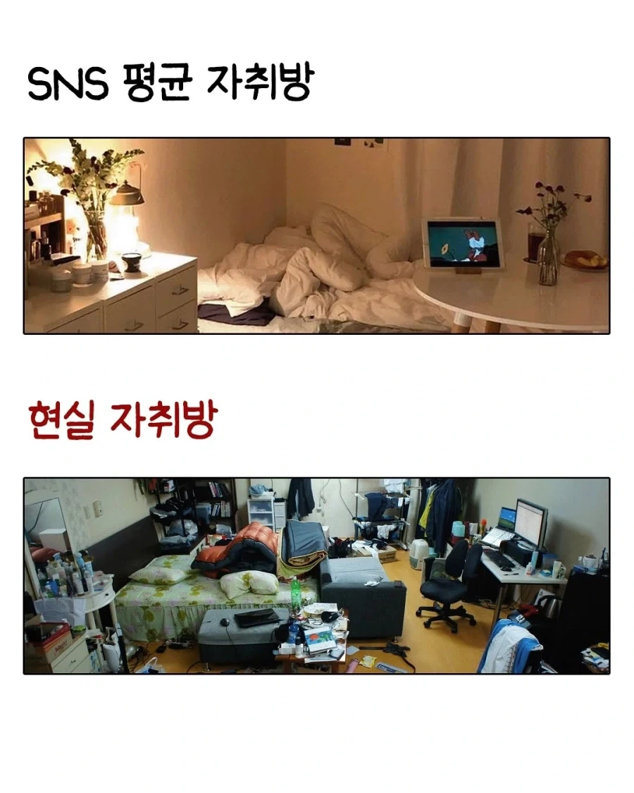 SNS가 망친 평균 VS 현실 평균..._2.webp