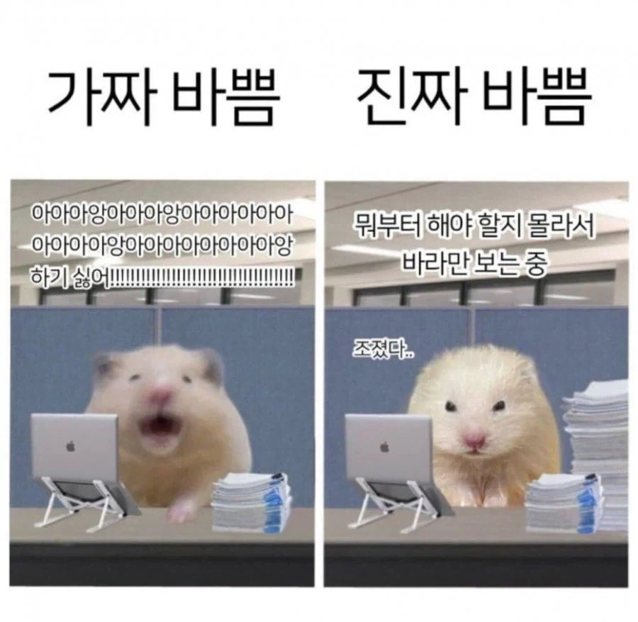 가짜바쁨 진짜바쁨_1.webp