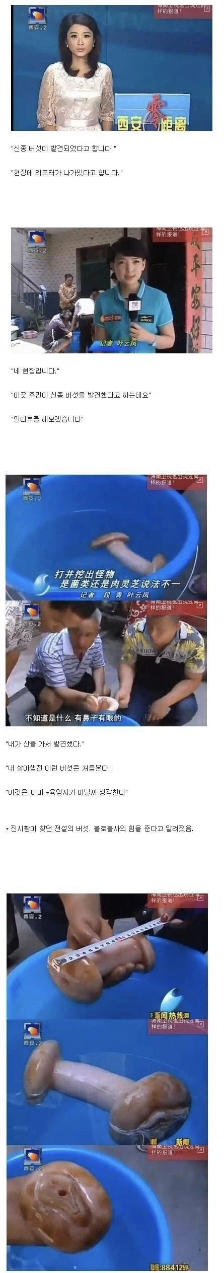 전설의 버섯을 발견한 마을_1.webp