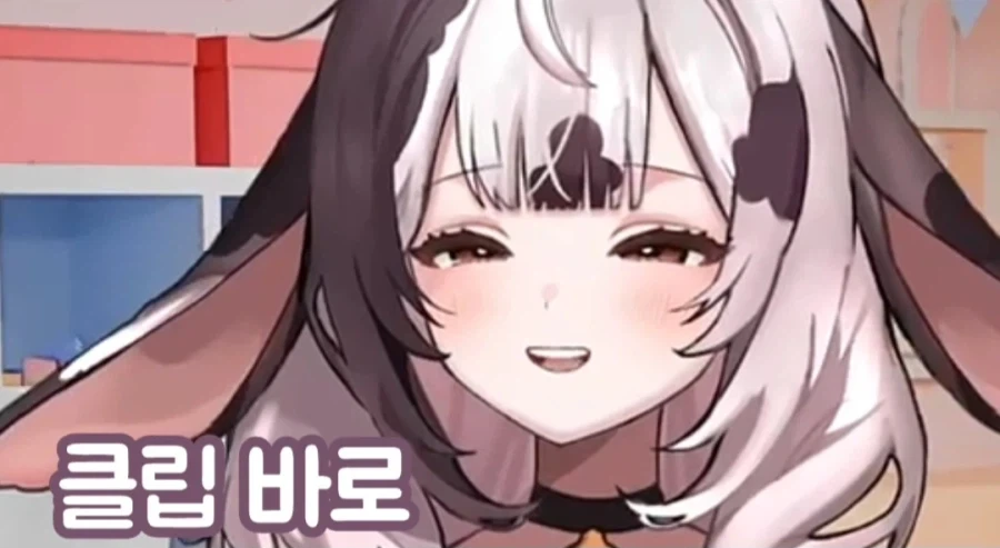 여성 방송인