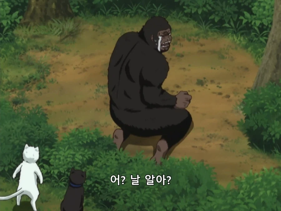 은혼) 메인 스토리에 1도 관련 없는 놈_7.webp