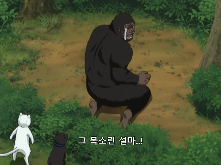 은혼) 메인 스토리에 1도 관련 없는 놈_8.webp