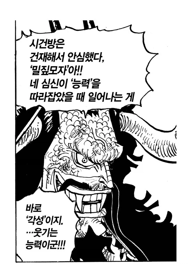 원피스 능력 각성 관련 잘만든 부분_1.webp