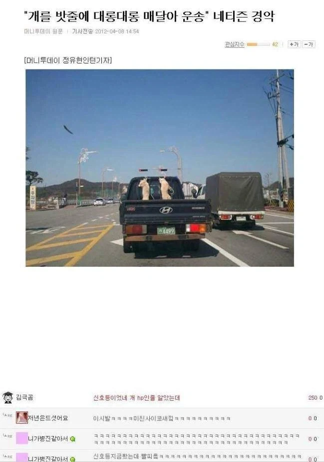 충격적인 동물 학대_1.webp