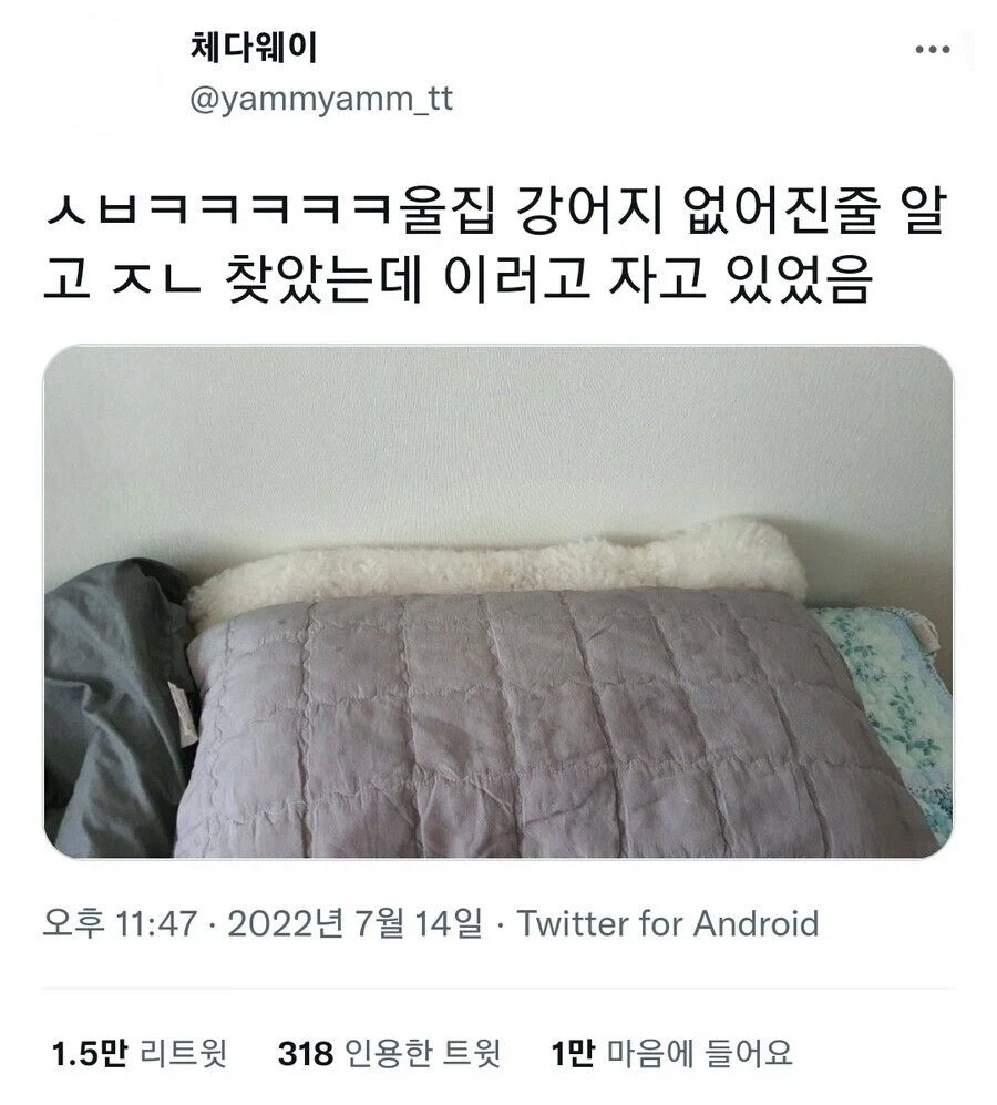 강아지 없어진줄 알고 ㅈㄴ 찾았는데_1.webp