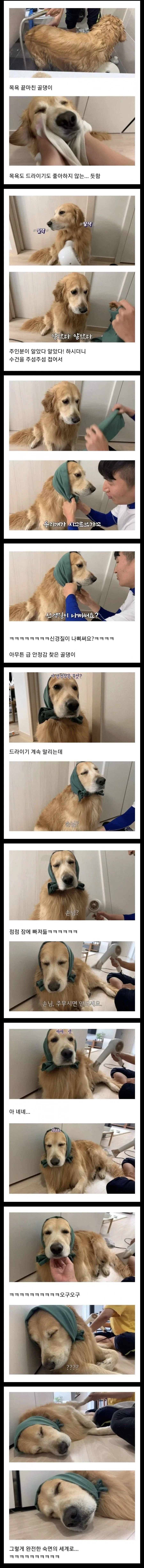 골댕이 건조시키는 방법_1.webp
