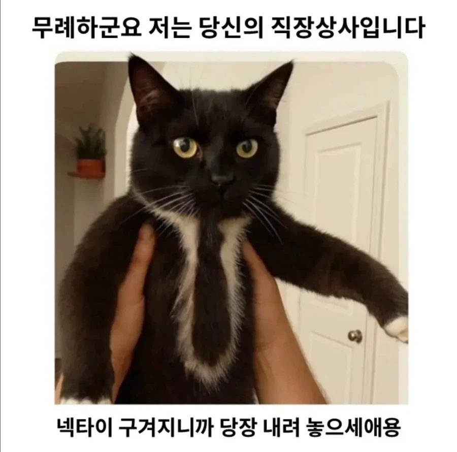 무례하군요 전 당신의 직장상사입니다_1.webp