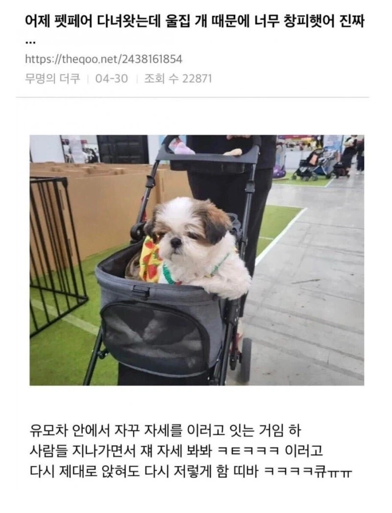 자기집 강아지가 부끄러웠던 사람_1.webp