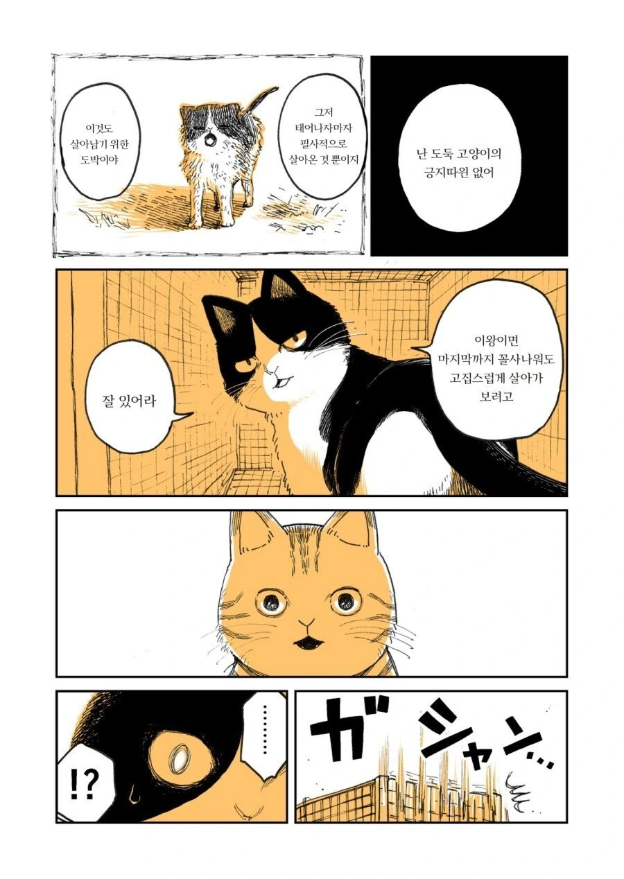 manga_2167781_003.webp