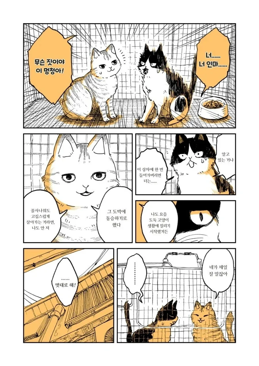 manga_2167781_004.webp