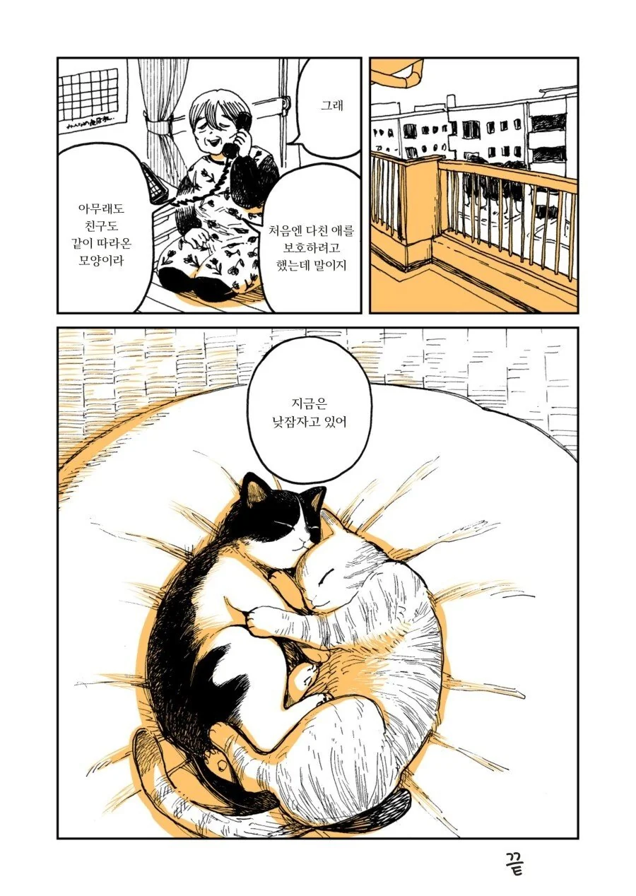 manga_2167781_005.webp