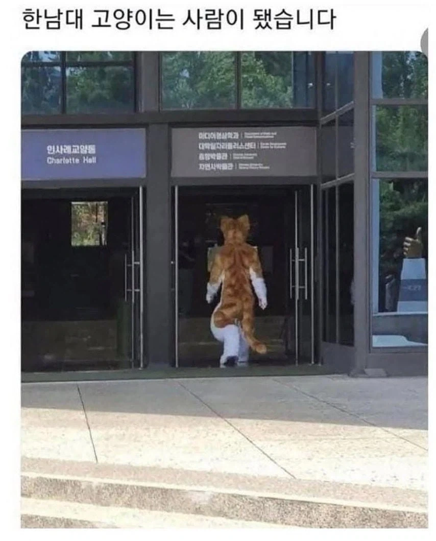 각 대학교별 고양이 자랑.eta_9.webp