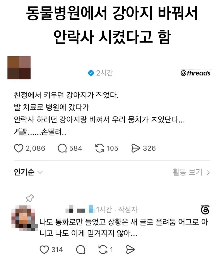 동물병원에서 강아지 바꿔서 안락사 시켰다고 함.jpg_1.webp