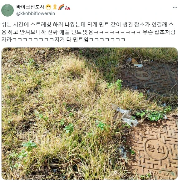 악역영애가 결투를 신청한 이유.jpg_2.png