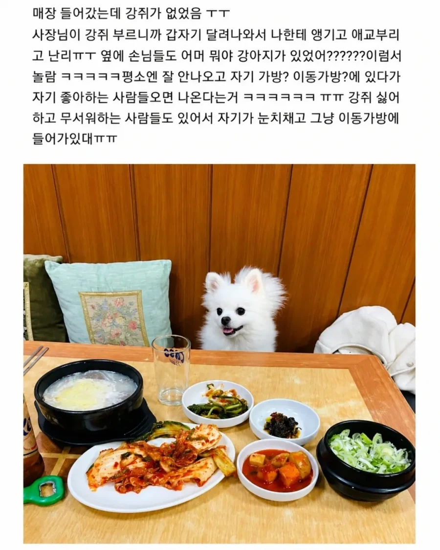 혼밥하면 강아지가 앞에 앉아준다는 밥집_4.webp