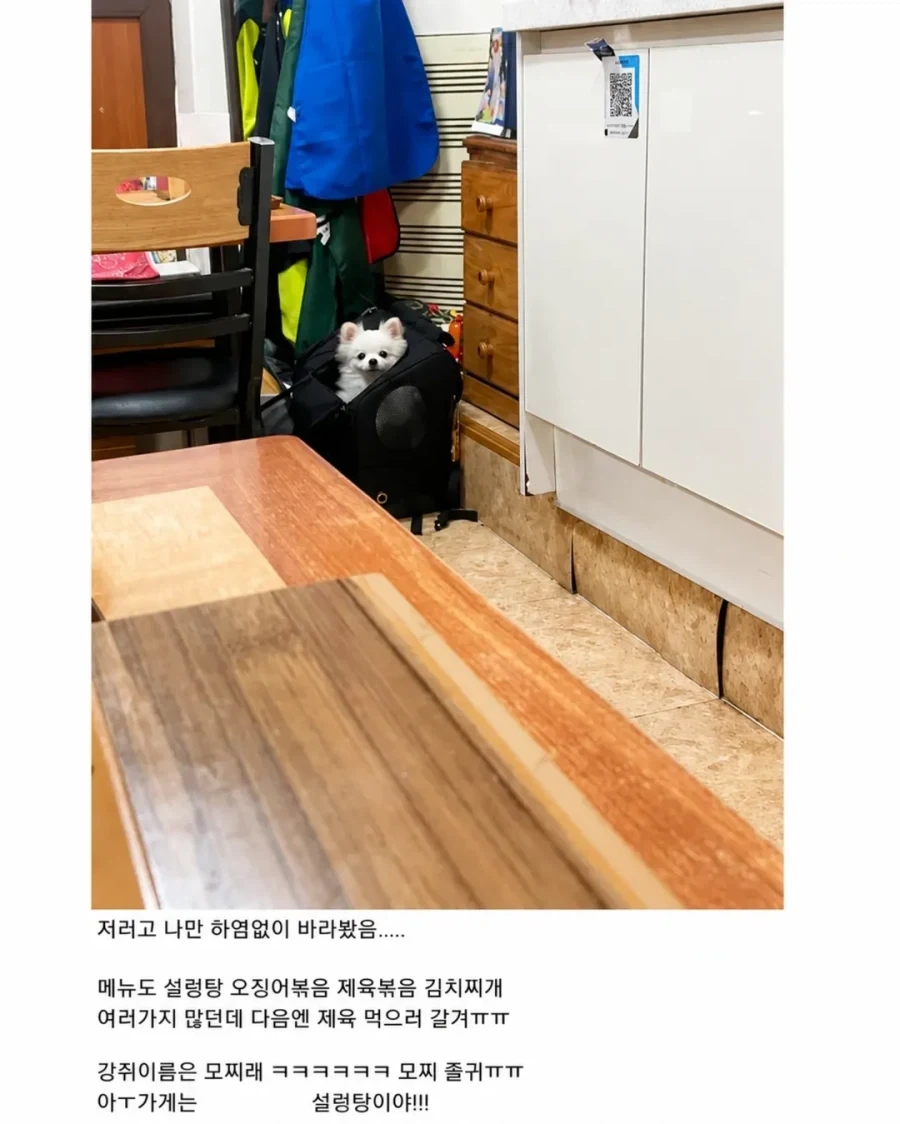 혼밥하면 강아지가 앞에 앉아준다는 밥집_10.webp