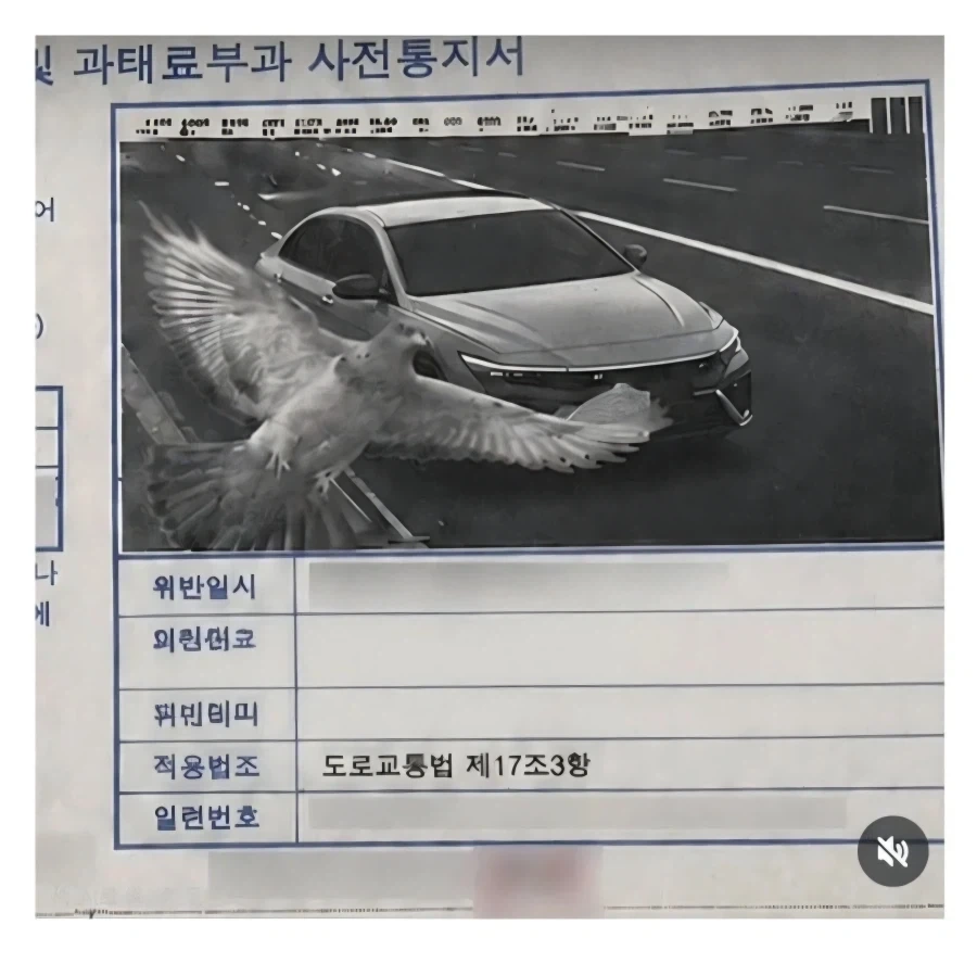 신통방통 통지서.jpg_1.webp
